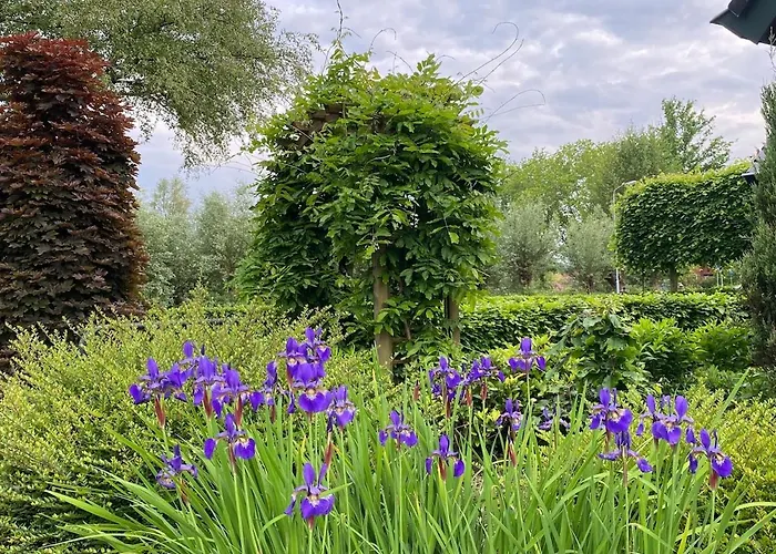 Zwanesteijn 度假居 Heerde